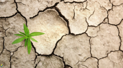 Klimawandelanpassung