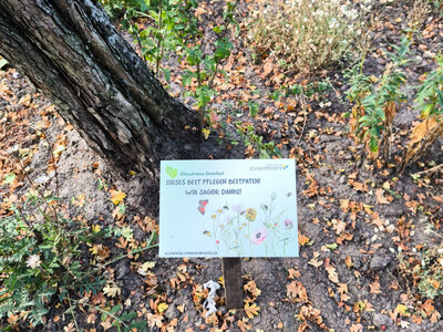 Klimapaten bringen Schilder an