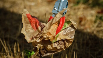 Steinfurt macht sauber - Christoph Schütz / Pixabay Steinfurt macht sauber